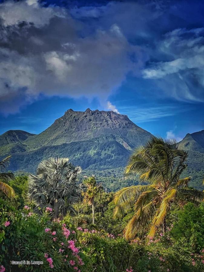 Sublime Vue Et Volcan , Pierre Et Vacances, Gwadapaye Appartement