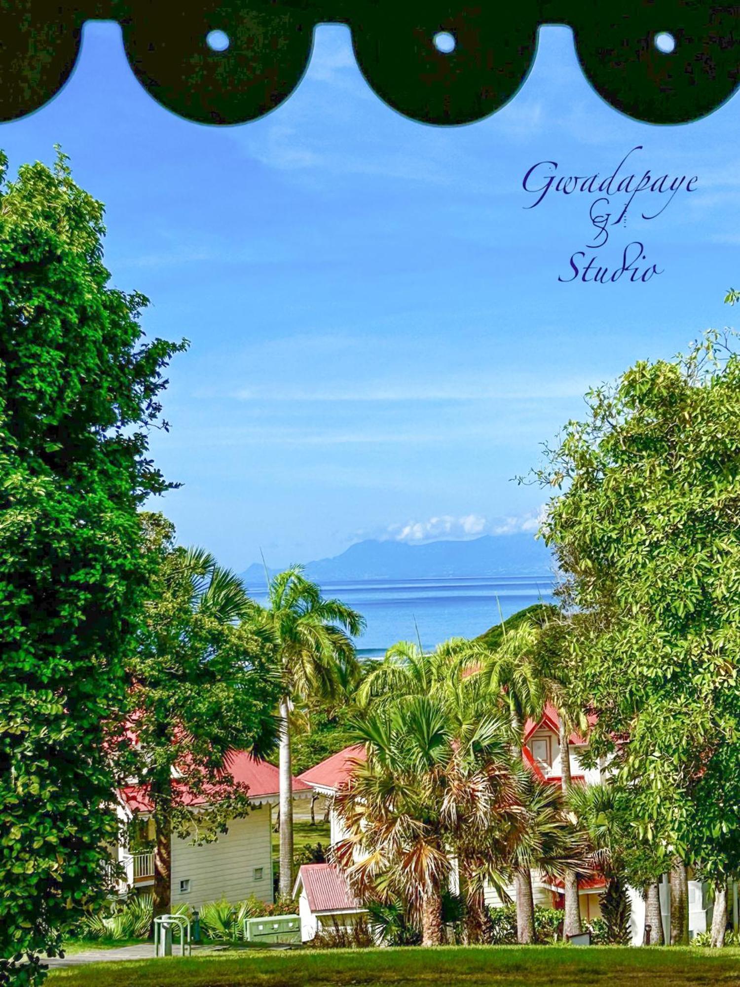 Sublime Vue Et Volcan , Pierre Et Vacances, Gwadapaye * Sainte-Anne (Grande-Terre)