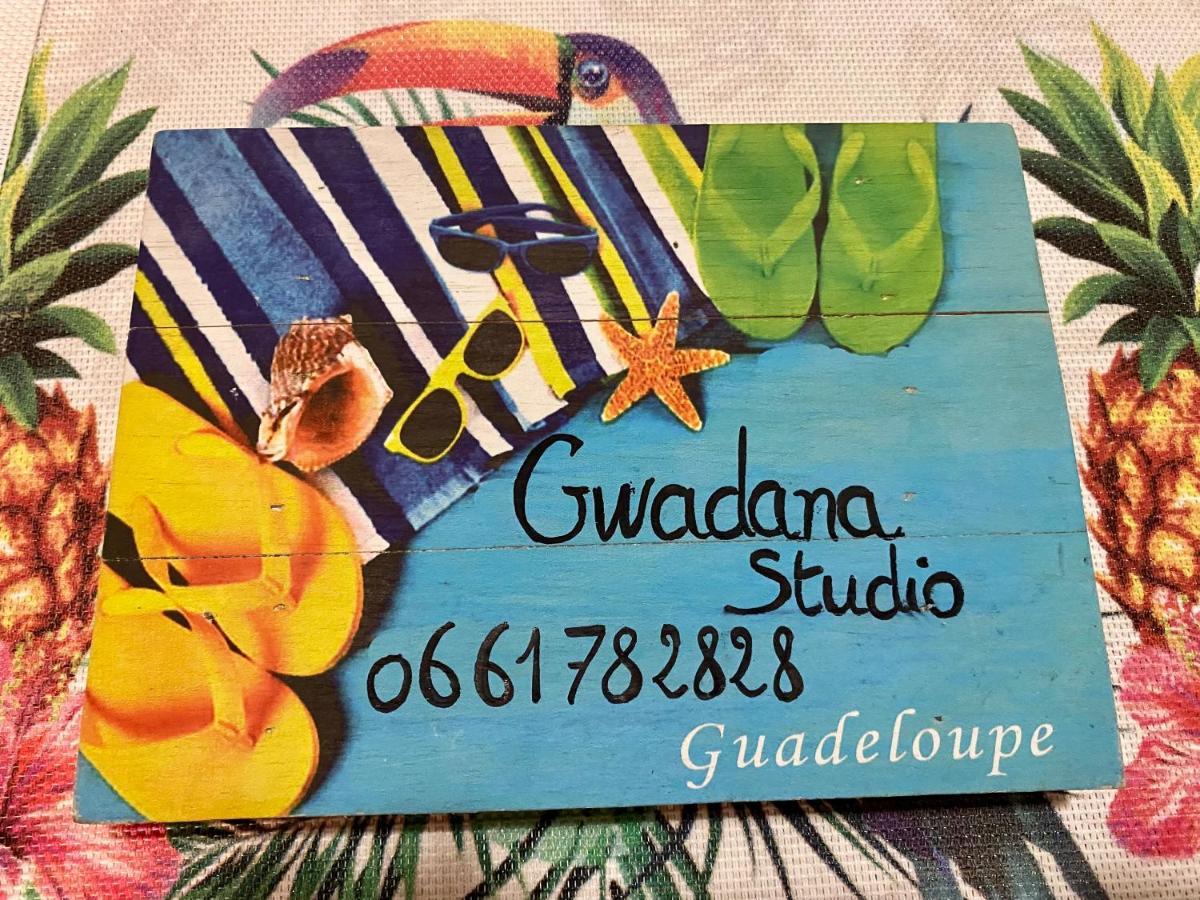 Vue Exclusive Et Volcan, Village Avec Et Piscine, Les Gwadastudios * Sainte-Anne (Grande-Terre)
